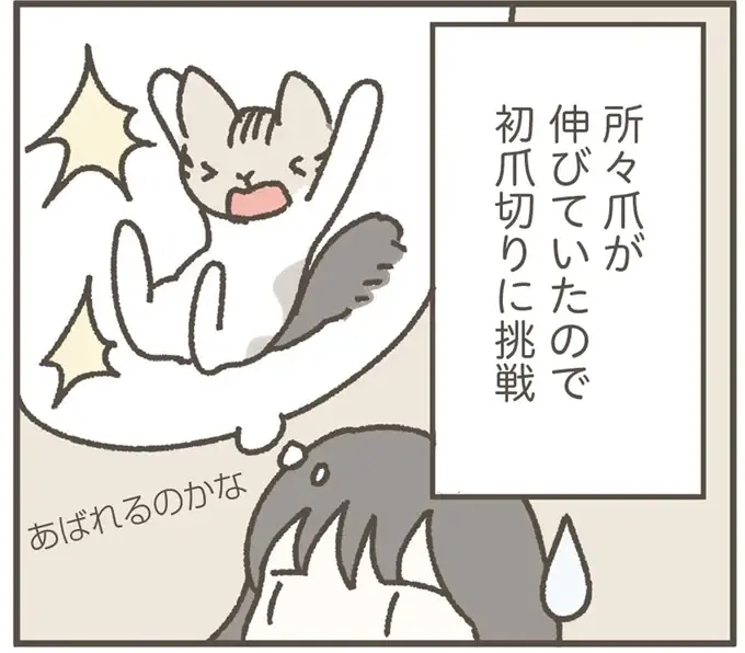 保護猫の「初めての爪切り」。あれ？ 聞いてた話と違う...／ねこのつゆちゃんのことで頭がいっぱいです（1）