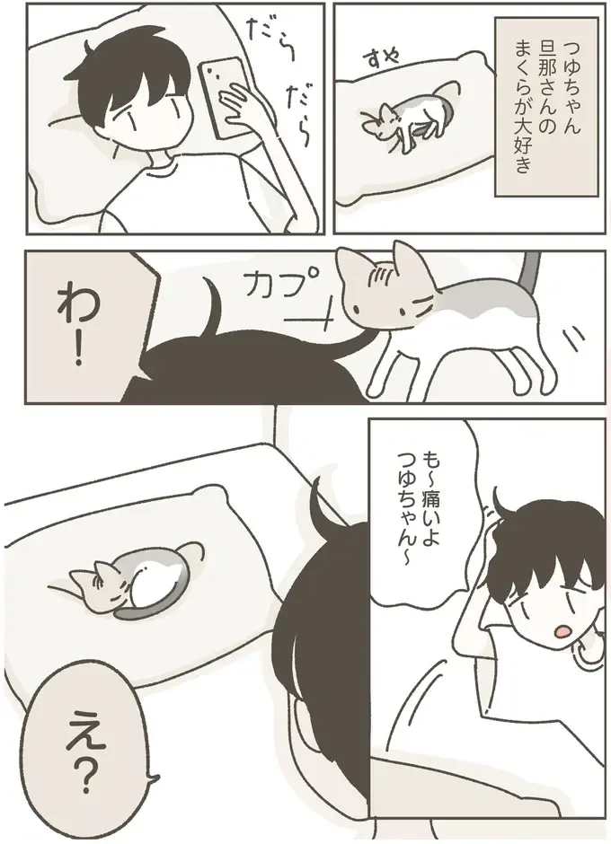 保護猫の「初めての爪切り」。あれ？ 聞いてた話と違う...／ねこのつゆちゃんのことで頭がいっぱいです（5）