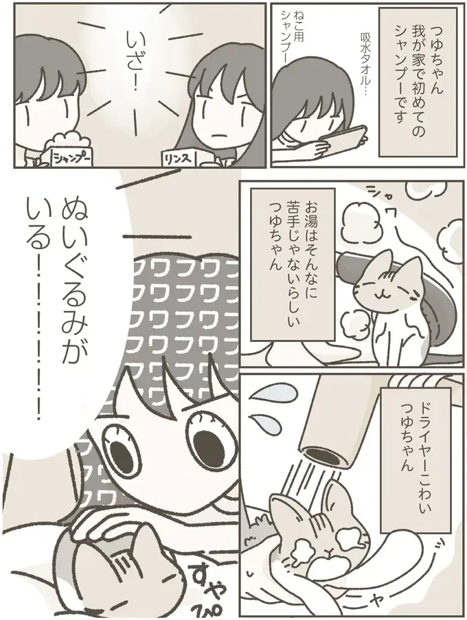 家に馴染んでくれた保護猫。初めてのシャンプーをしてみたら...／ねこのつゆちゃんのことで頭がいっぱいです（3）
