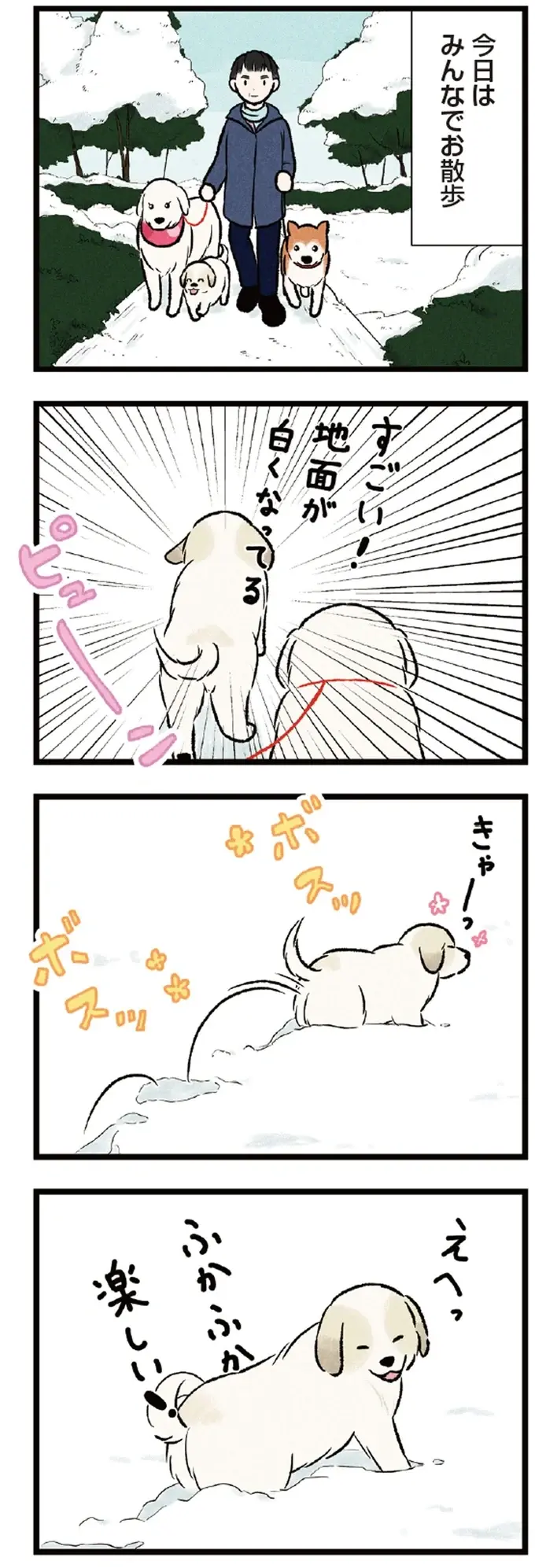 散歩中、テンションが爆上がりの大型犬たち。はしゃぐ姿が可愛くて／今日のルンルン（2）
