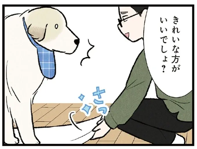 「このタオルにさわらないで！」こだわりの強い大型犬。満足そうな顔が愛おしい／今日のルンルン（1）