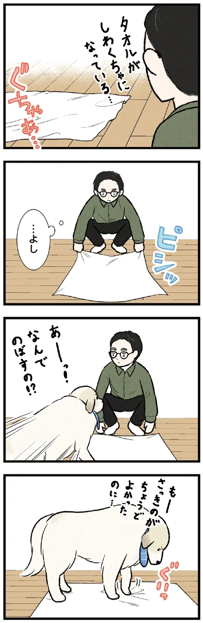 「このタオルにさわらないで！」こだわりの強い大型犬。満足そうな顔が愛おしい／今日のルンルン（2）
