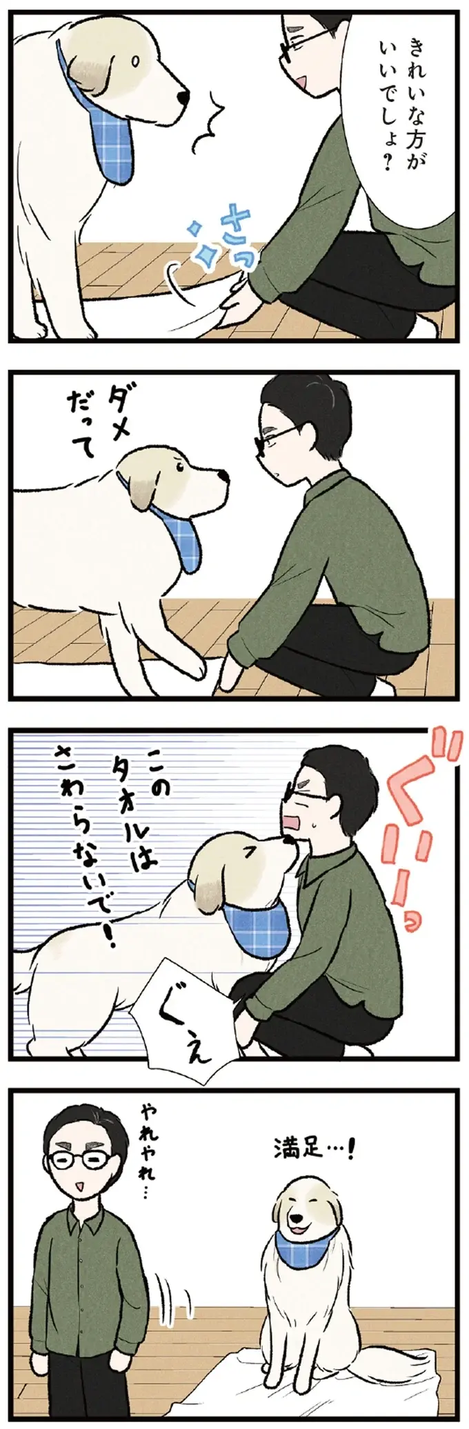 「このタオルにさわらないで！」こだわりの強い大型犬。満足そうな顔が愛おしい／今日のルンルン（3）