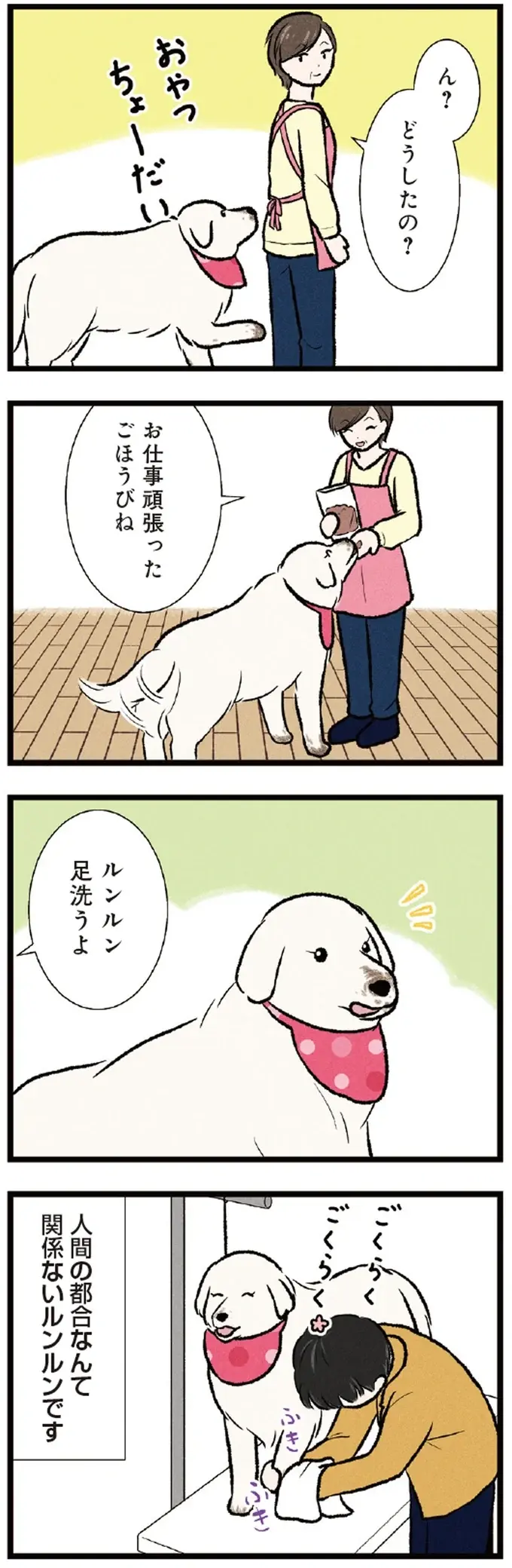 大忙しの平日の朝。バタバタの飼い主の横で愛犬は「ひと仕事」!?／今日のルンルン（3）