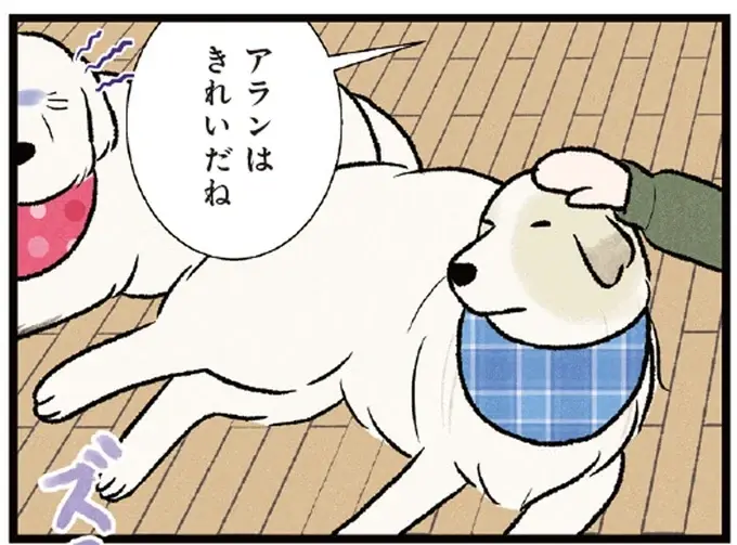 手足は真っ黒だけどほめて！ 穴掘りが趣味の大型犬。やきもちを焼く姿が微笑ましい／今日のルンルン（1）
