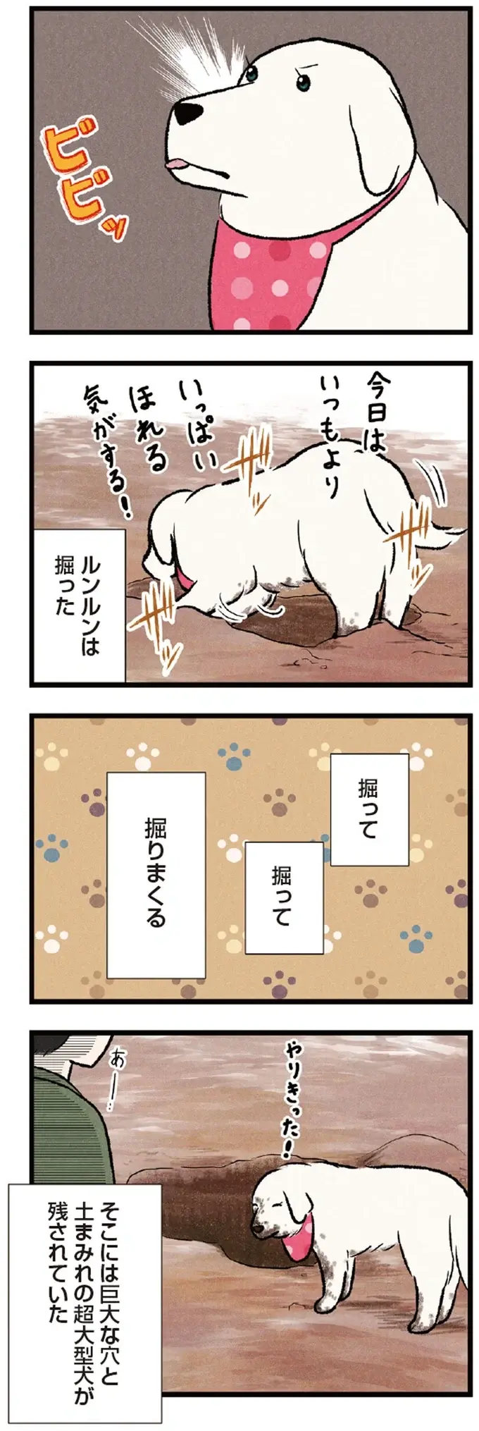 手足は真っ黒だけどほめて！ 穴掘りが趣味の大型犬。やきもちを焼く姿が微笑ましい／今日のルンルン（3）