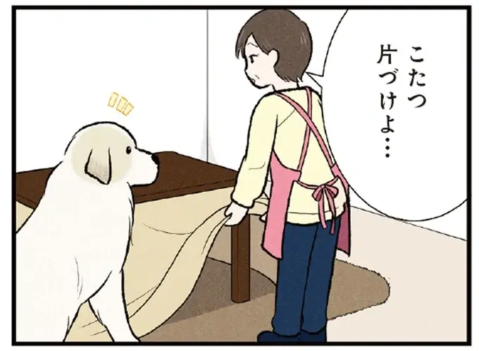 悲しげな瞳に「うっ」コタツをしまってほしくない大型犬の愛しい抗議／今日のルンルン（1）