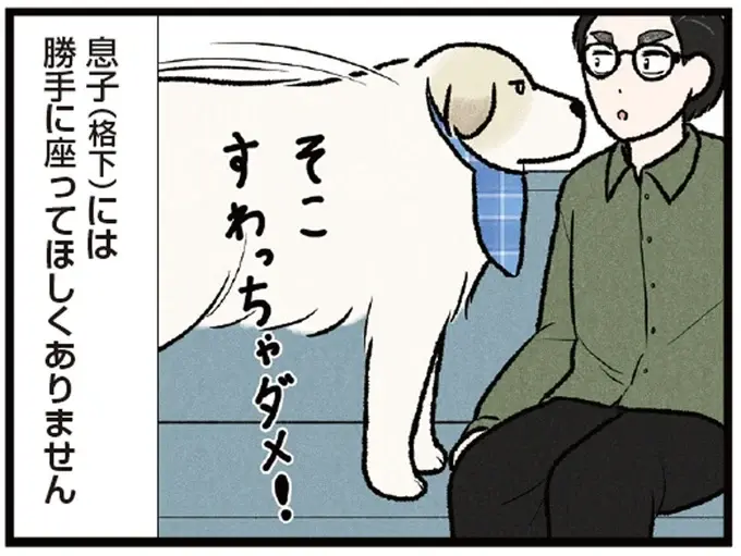 ソファは僕の場所！ 大型犬に格下認定された息子は座れるのか⁉／今日のルンルン（1）