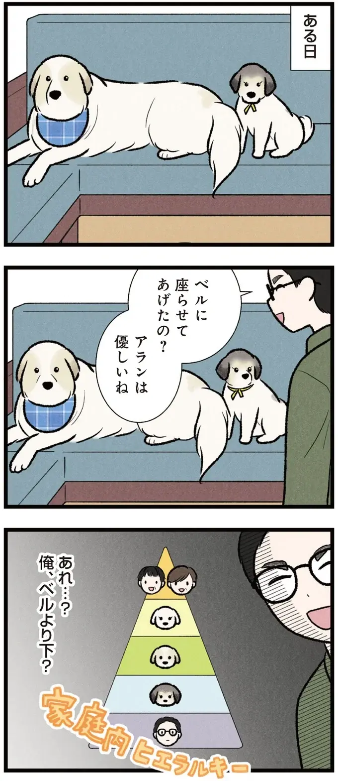 ソファは僕の場所！ 大型犬に格下認定された息子は座れるのか⁉／今日のルンルン（3）