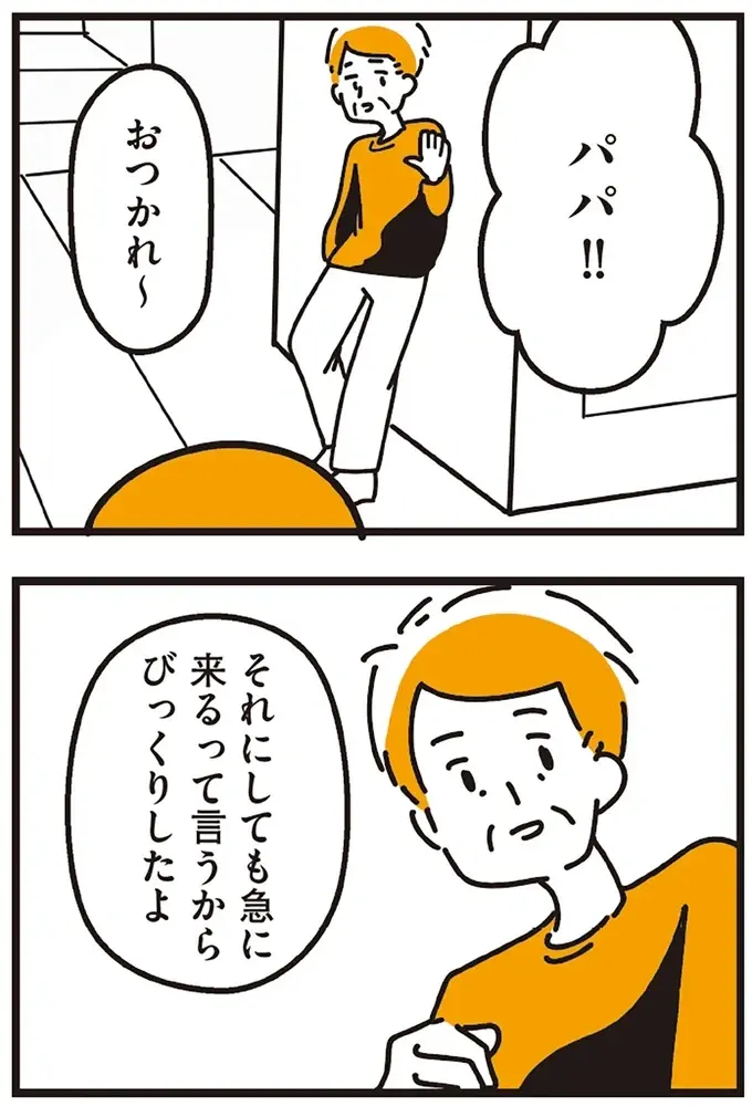 父には別の家族がいて、姉もいるらしい。母に嘘をつき、父たちが暮らす東京へ／不倫の子だなんて知りたくなかった（9）