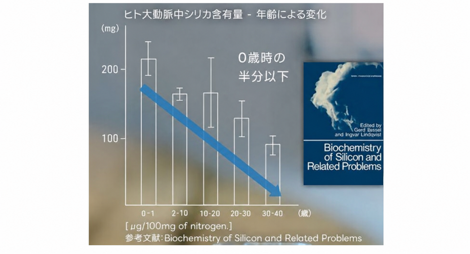 「何を飲むか」で夏が変わる⁉ 体に嬉しい水分補給の新習慣＜PR＞（3）