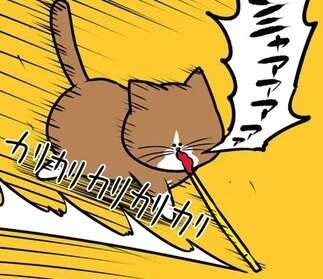 猫が遊ぶ姿に「昔と変わらないな」とほっこり...からまさかの!?／鴻池剛と猫のぽんた 1-3（1）