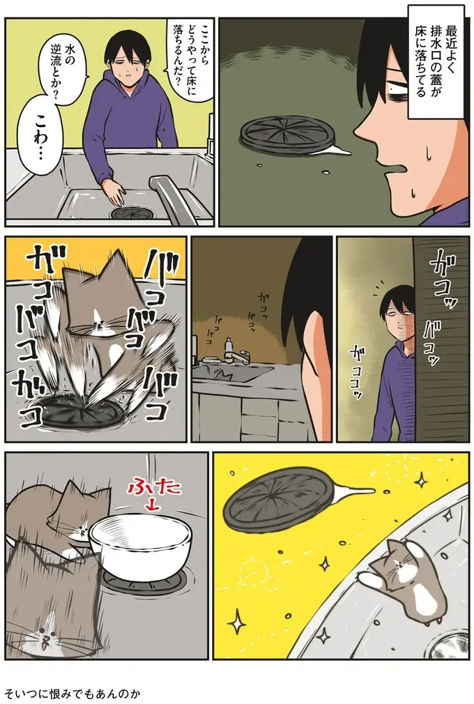 猫が遊ぶ姿に「昔と変わらないな」とほっこり...からまさかの!?／鴻池剛と猫のぽんた 1-3（3）