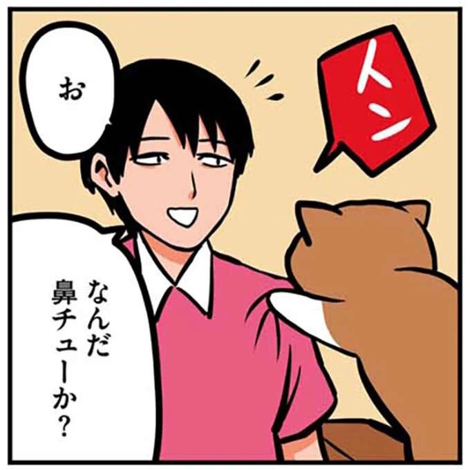 猫が鼻チューと見せかけて...。突然の裏切りに飼い主は／鴻池剛と猫のぽんた 1-3（1）