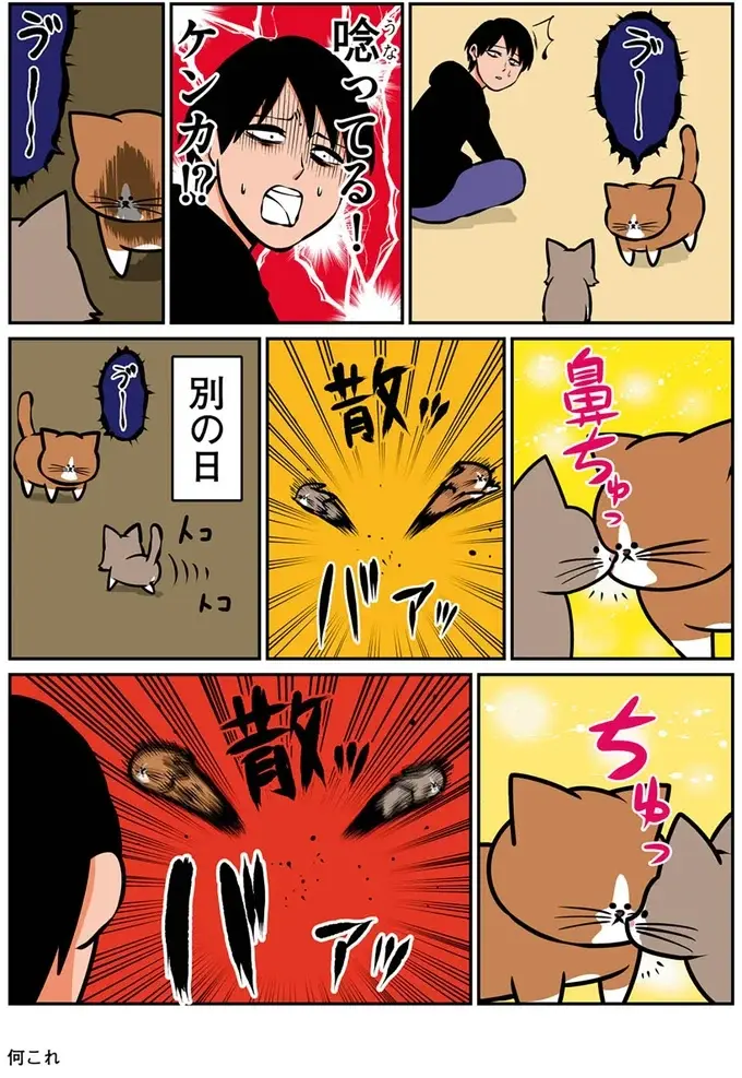 助けて...生後3カ月の子猫との生活。子猫はかわいいいけど...うらやましい？／鴻池剛と猫のぽんた 1-3（3）