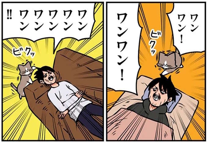 「ワンワン！」新入り子猫のじゃれつき対策。そのせいで飼い主に起きた「悲劇」は／鴻池剛と猫のぽんた 1-3（1）