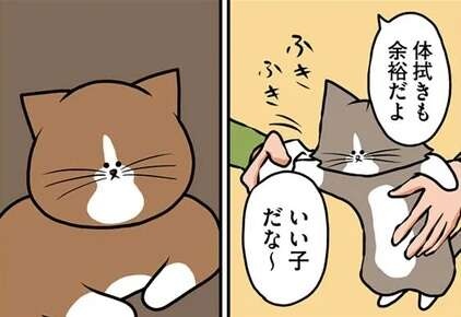 おりこうな新入り子猫。露骨にほめたらヤンチャな先住猫にも影響が...？／鴻池剛と猫のぽんた 1-3（1）