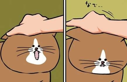 猫の頭ナデナデから始まる「理由なきデスゲーム」。お前、完全に口が...／鴻池剛と猫のぽんた 1-3（1）