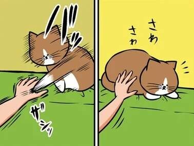 猫が引っ搔きをやめてくれない。思い切り「痛がる演技」をしたら...は？／鴻池剛と猫のぽんた 1-3（1）