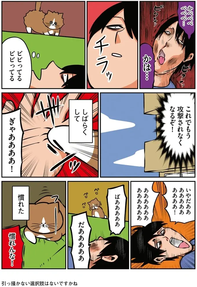 猫が引っ搔きをやめてくれない。思い切り「痛がる演技」をしたら...は？／鴻池剛と猫のぽんた 1-3（3）