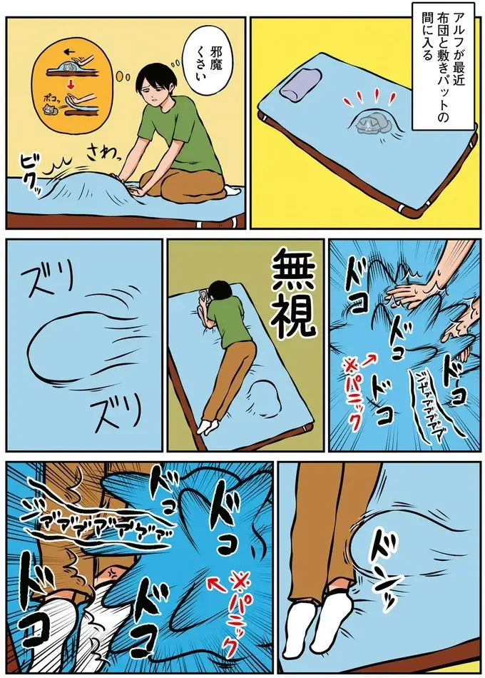 「叱られている子猫」をじっと見つめる先住猫。その理由は...たぶんコレ／鴻池剛と猫のぽんた 1-3（2）