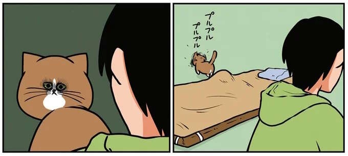 「お前だな」とにらんでくる猫。ぬ、濡れ衣です...／鴻池剛と猫のぽんた 1-3（1）