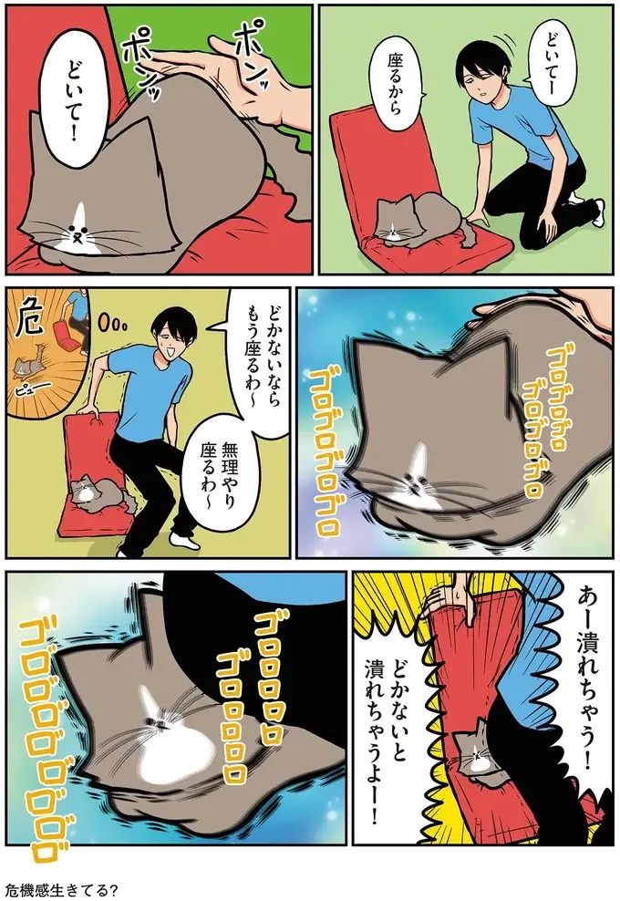 最初に知りたかった...猫たちと「手でじゃれる」ことの痛すぎる代償／鴻池剛と猫のぽんた 4（4）