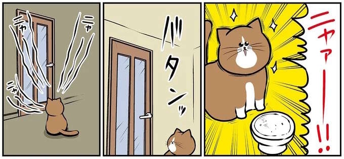 わんぱくな猫の催促。いつまでも「ニャァー！！」って、さっき...！／鴻池剛と猫のぽんた 4（1）