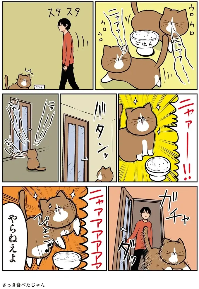 わんぱくな猫の催促。いつまでも「ニャァー！！」って、さっき...！／鴻池剛と猫のぽんた 4（3）
