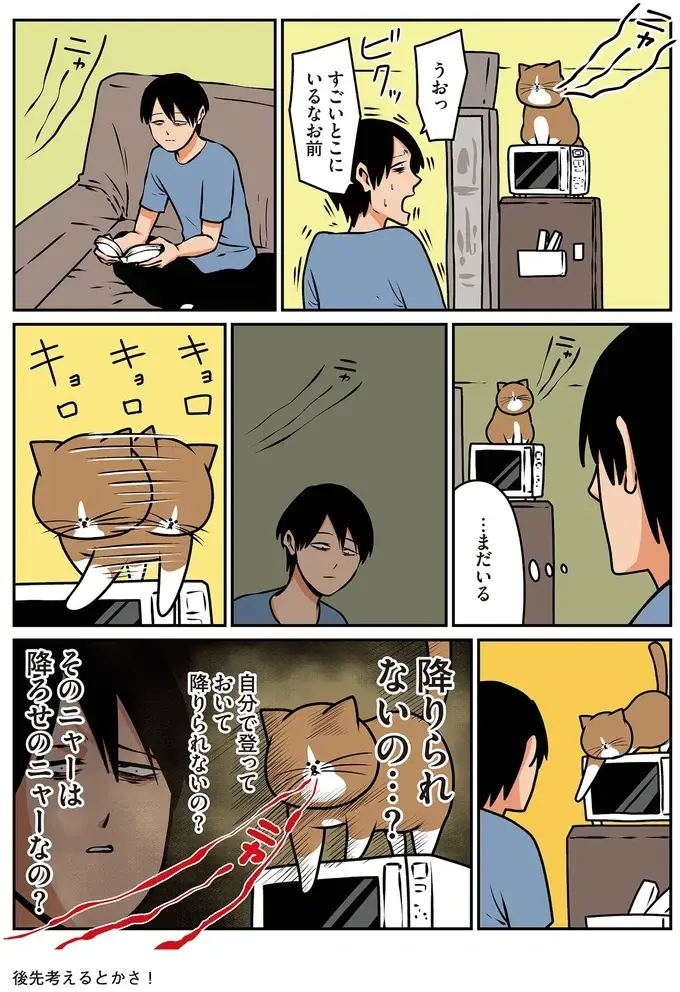 わんぱくな猫の催促。いつまでも「ニャァー！！」って、さっき...！／鴻池剛と猫のぽんた 4（4）