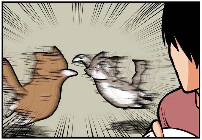 猫に攻撃される飼い主。なぜこんな「的確」に...／鴻池剛と猫のぽんた 4（1）