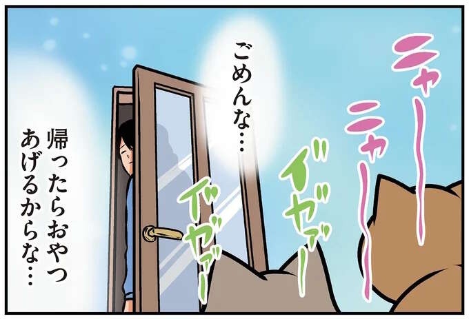 「猫と暮らす理想と現実」。お出かけを寂しがってほしいけど実際は...!?／鴻池剛と猫のぽんた 4（1）