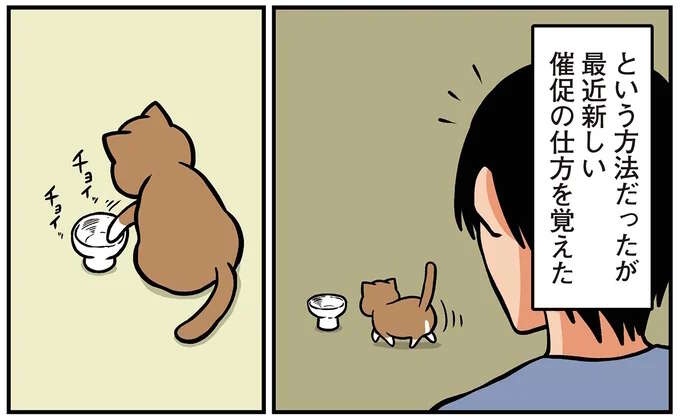 猫が身につけた「陰湿なご飯の催促」。これはでは暴れていたのに...おい／鴻池剛と猫のぽんた 4（1）