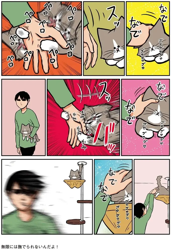 猫が身につけた「陰湿なご飯の催促」。これはでは暴れていたのに...おい／鴻池剛と猫のぽんた 4（4）