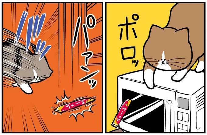 猫たちのおやつ争奪戦！ 飼い主が目撃した「悲しい結末」とは？／鴻池剛と猫のぽんた 4（1）