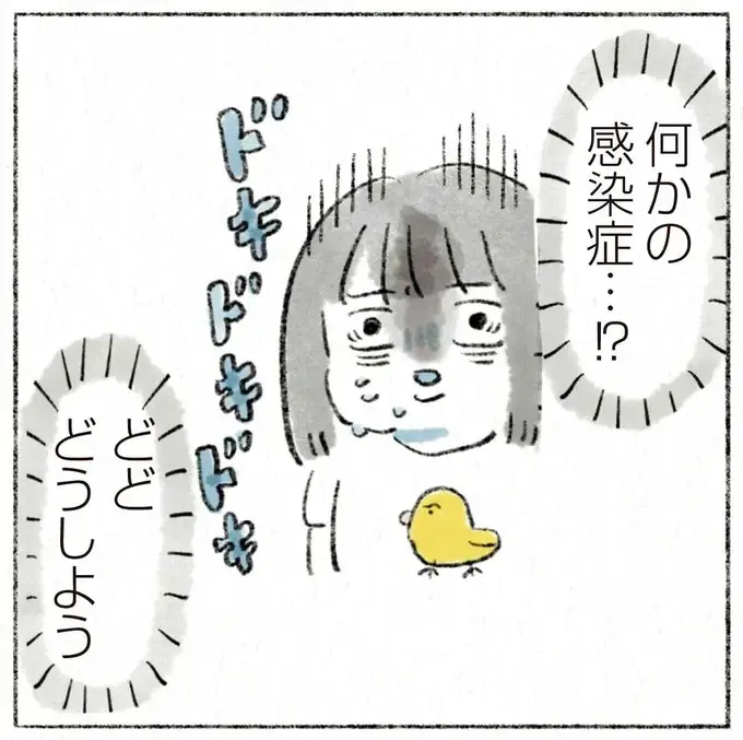 『うちの猫は今日も塩対応』（1）