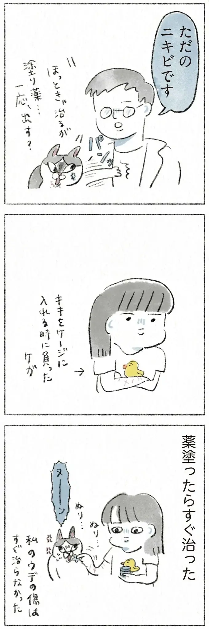 『うちの猫は今日も塩対応』（4）