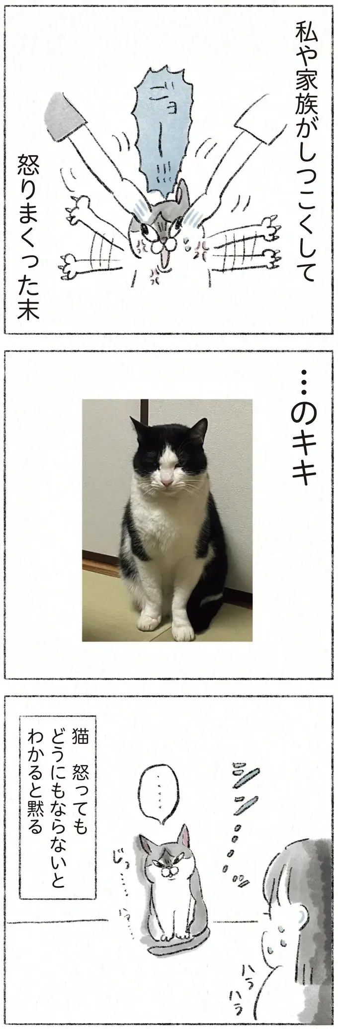 『うちの猫は今日も塩対応』（8）
