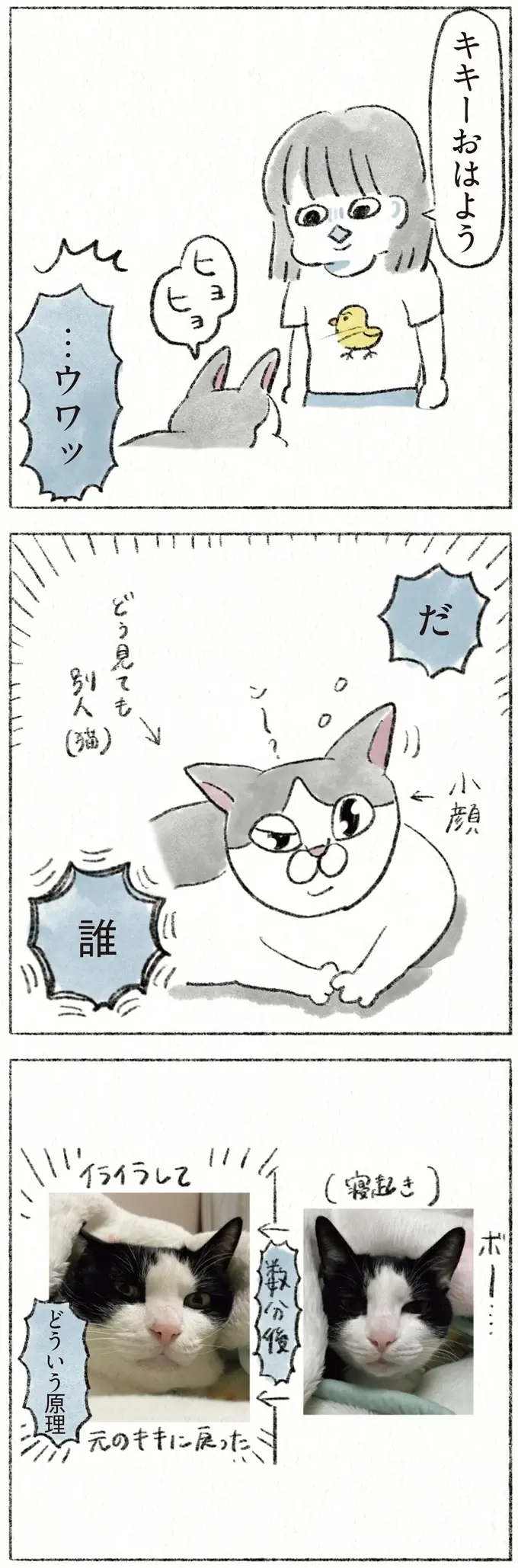 『うちの猫は今日も塩対応』（9）