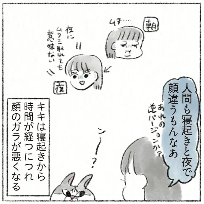 『うちの猫は今日も塩対応』（10）