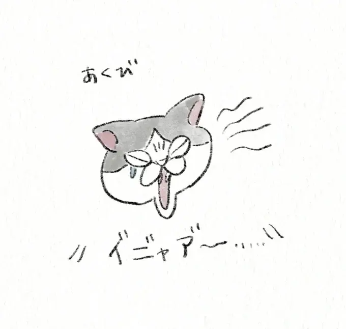 『うちの猫は今日も塩対応』（11）