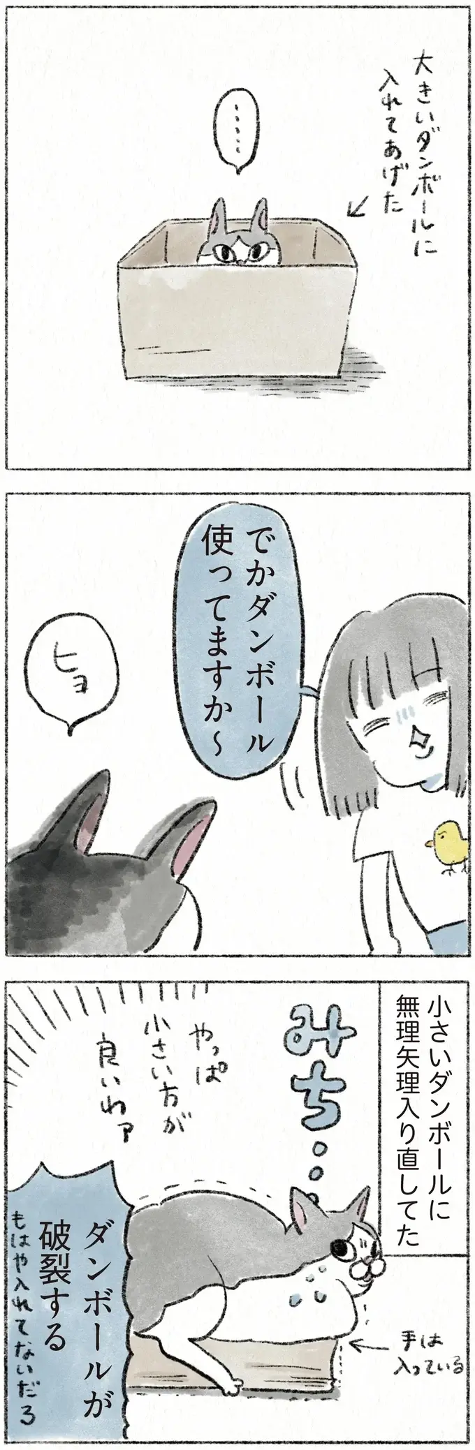 『うちの猫は今日も塩対応』（13）
