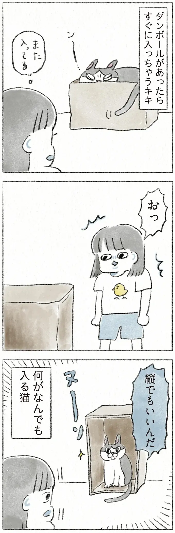 『うちの猫は今日も塩対応』（16）