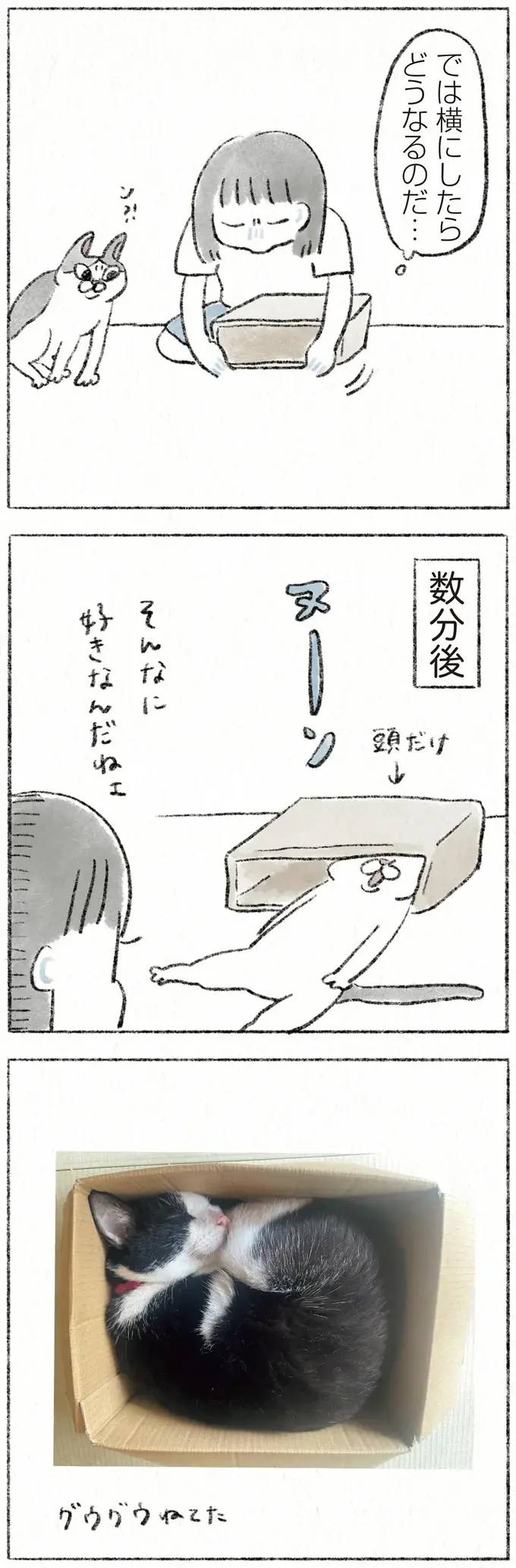 『うちの猫は今日も塩対応』（17）