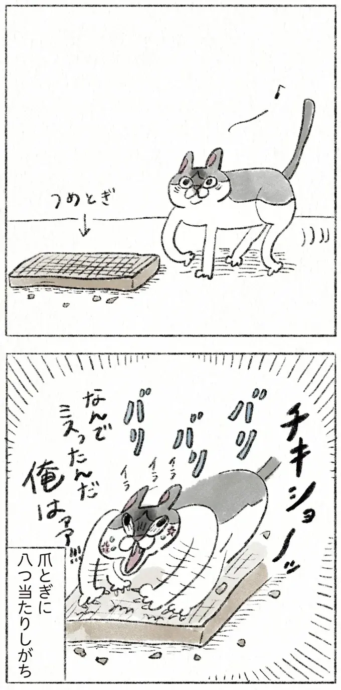 『うちの猫は今日も塩対応』（19）