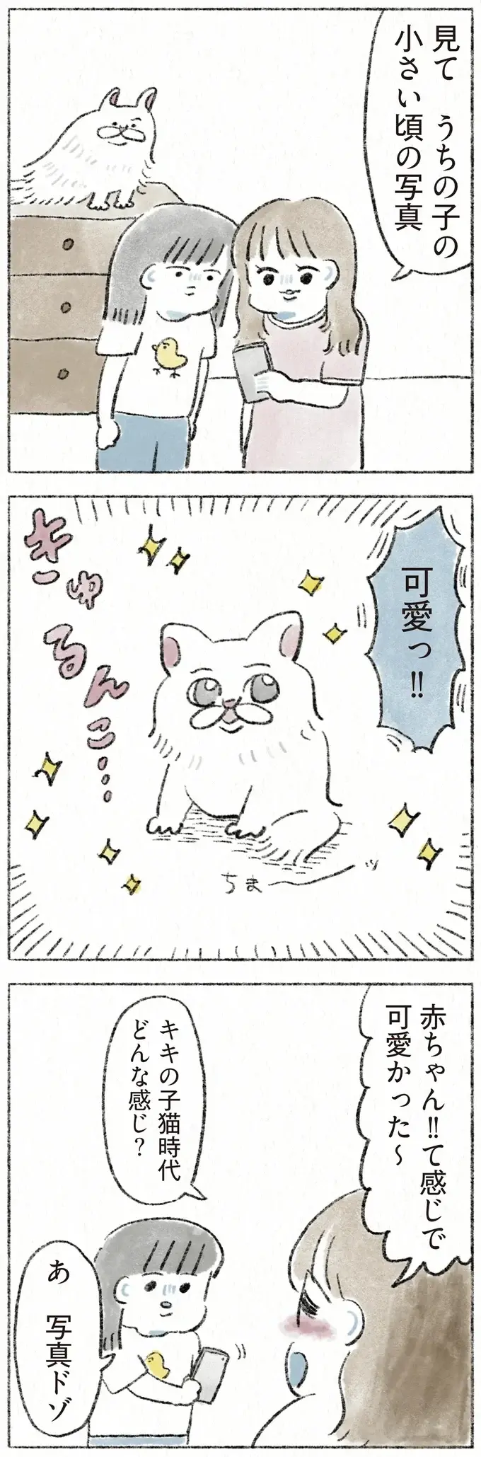 『うちの猫は今日も塩対応』（21）