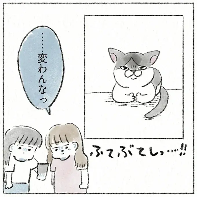 『うちの猫は今日も塩対応』（22）