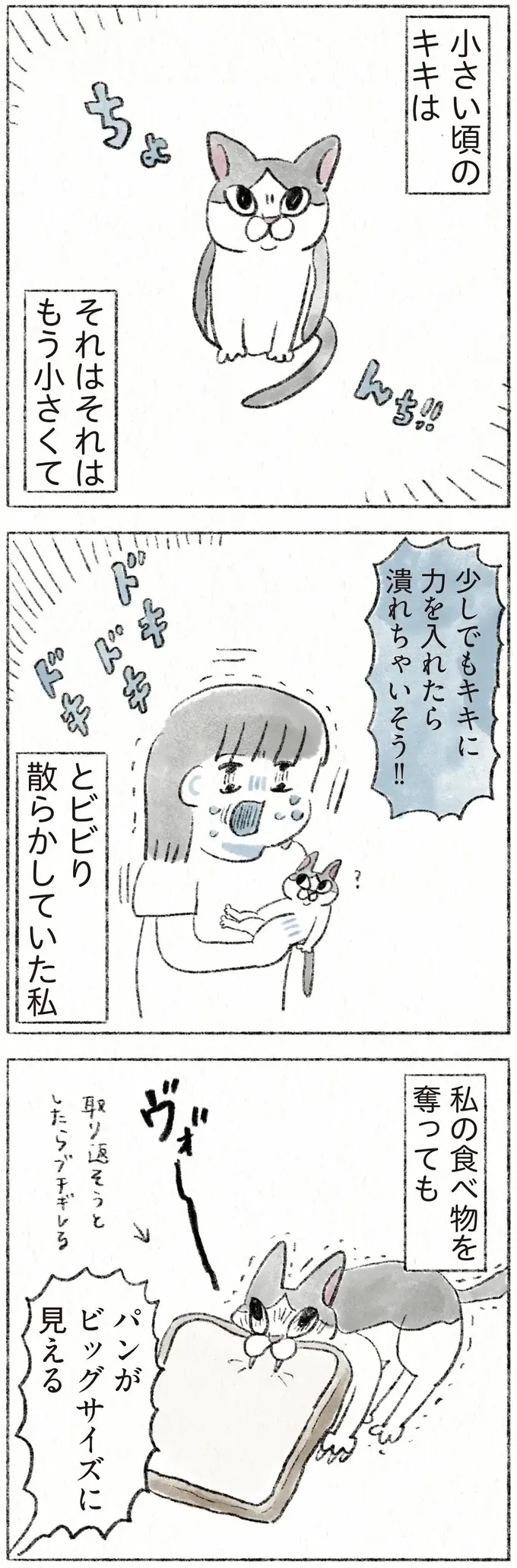 『うちの猫は今日も塩対応』（24）