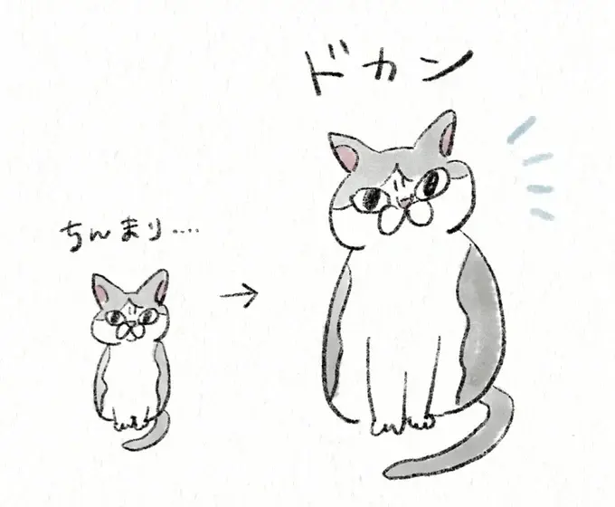 『うちの猫は今日も塩対応』（26）