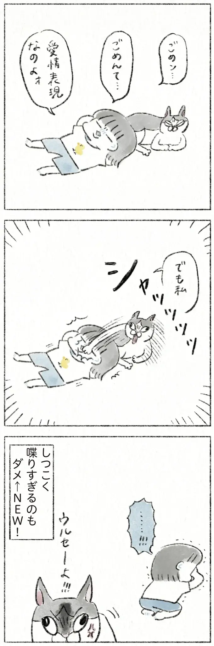 『うちの猫は今日も塩対応』（32）